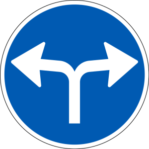 Påbudt kørselsretning – D11.8